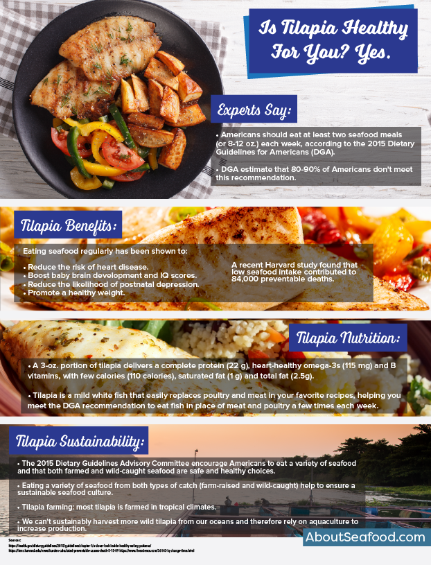 Tilapia nutrition About Seafood